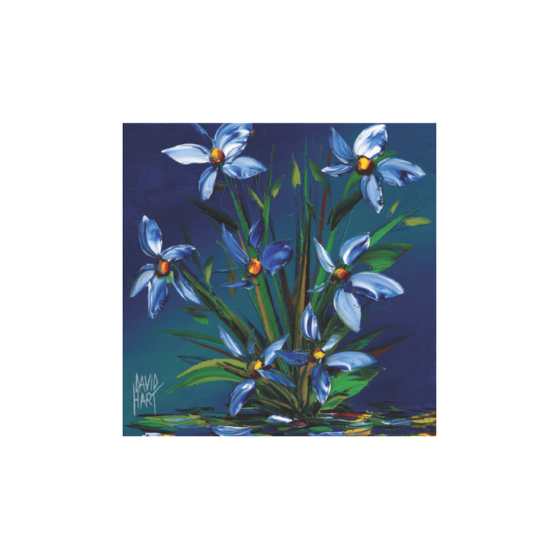 David Hart Flower Studies/Moonlight Blossom Magnet