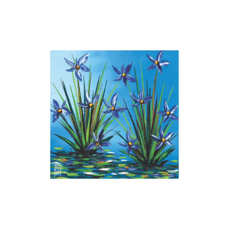 David Hart Flower Studies/Reflections Magnet