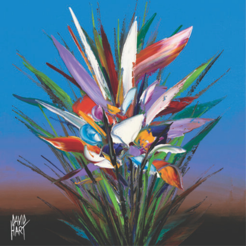 David Hart Flower Studies/Strelitzia Coaster