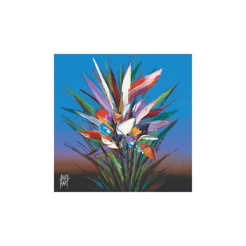 David Hart Flower Studies/Strelitza Magnet