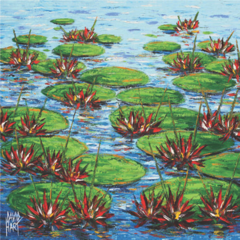 David Hart Flower Studies/Water Lillies Red Coaster