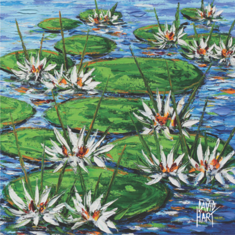 David Hart Flower Studies/Water Lillies White Coaster