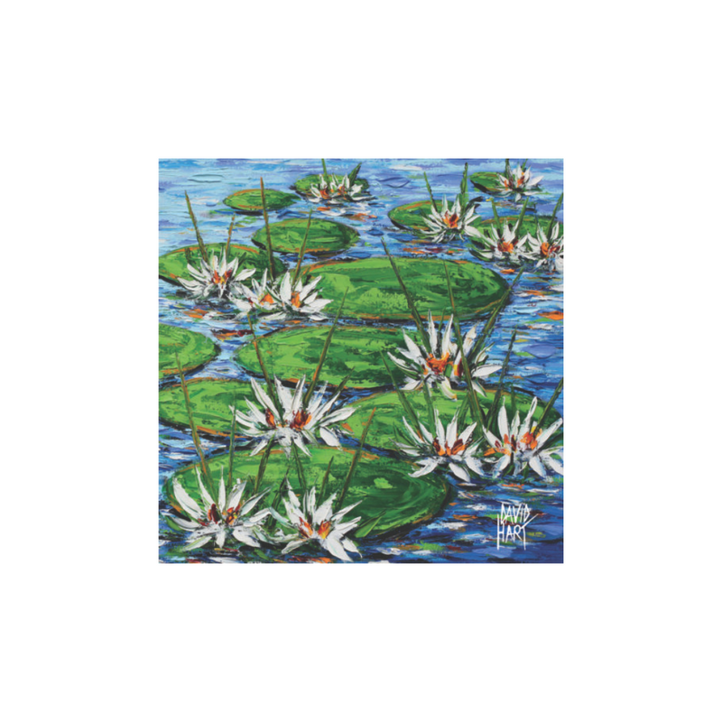 David Hart Flower Studies/Water Lillies White Magnet