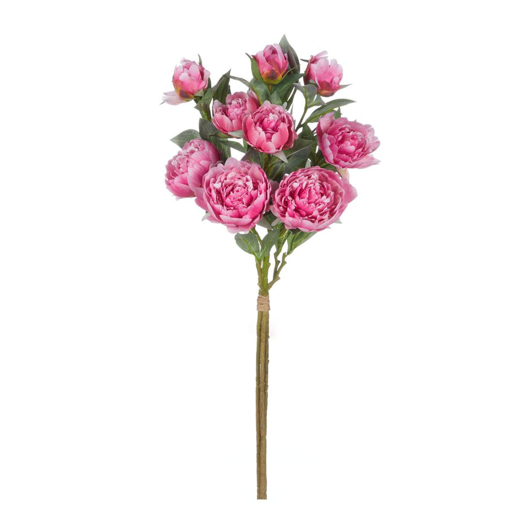 Peony Stem Bunch / Dark Pink