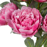 Peony Stem Bunch / Dark Pink