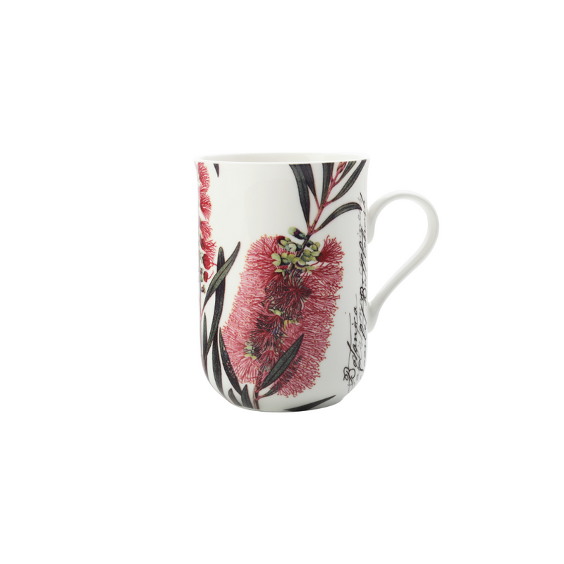 MW RBGA Botanics Mug Bottlebrush 300ml Gift Boxed