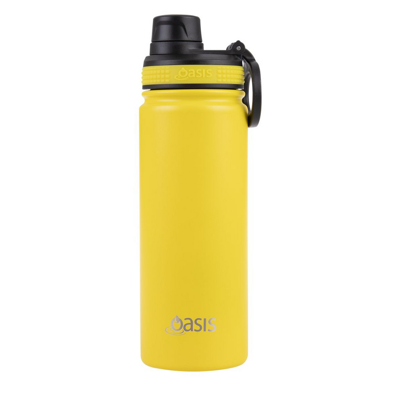 Stainless Steel "Challenger" Insulated Sports Bottle with Screw Cap